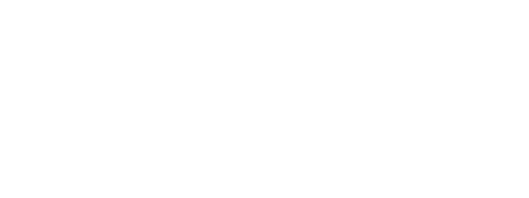 LS Retail