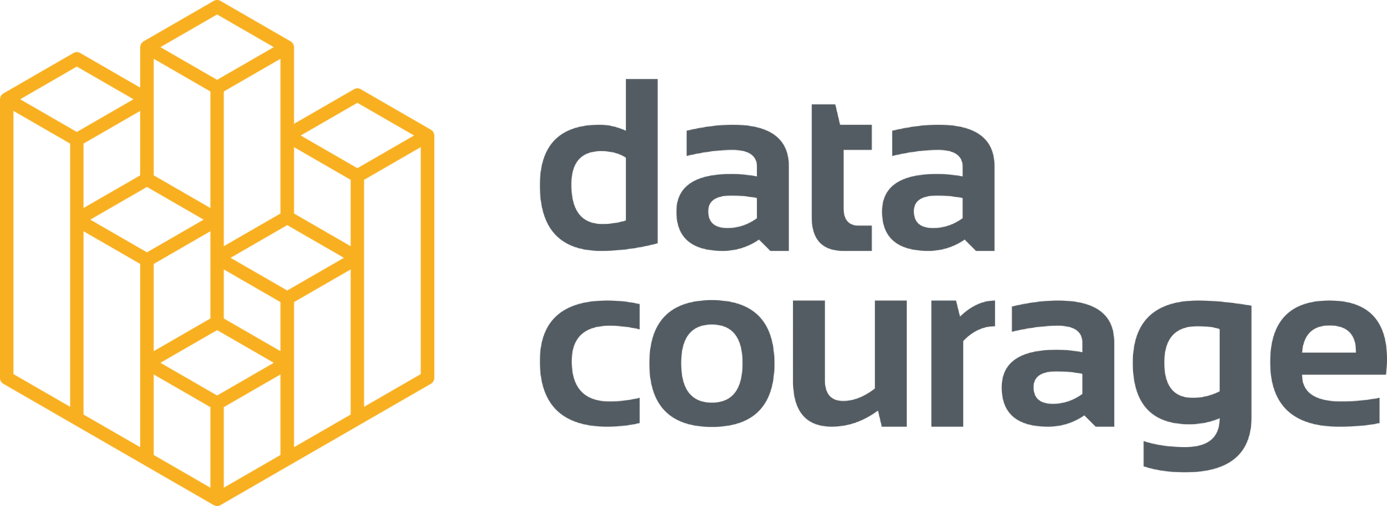 Data Courage