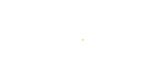 ls